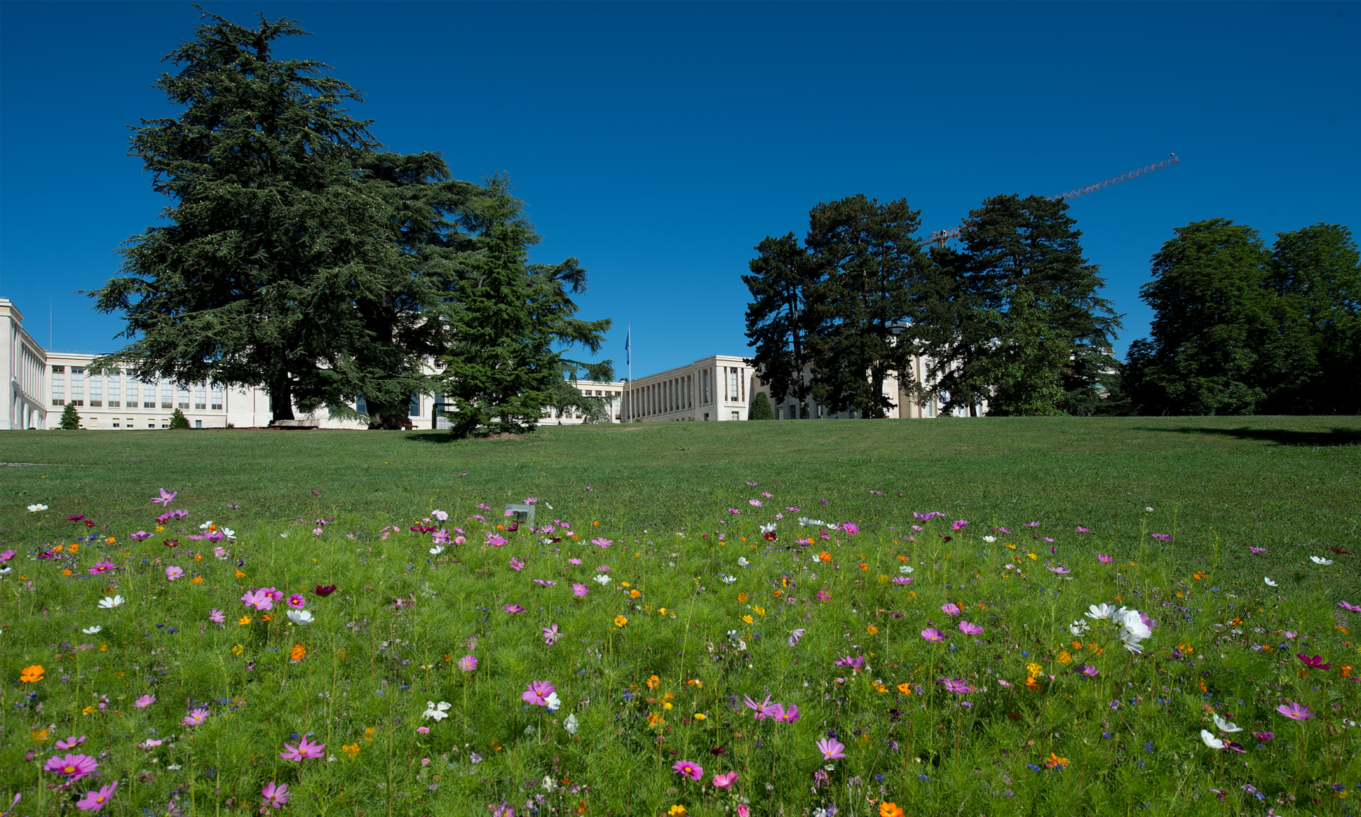 fonds Georges Junod - Fondation pour Geneve